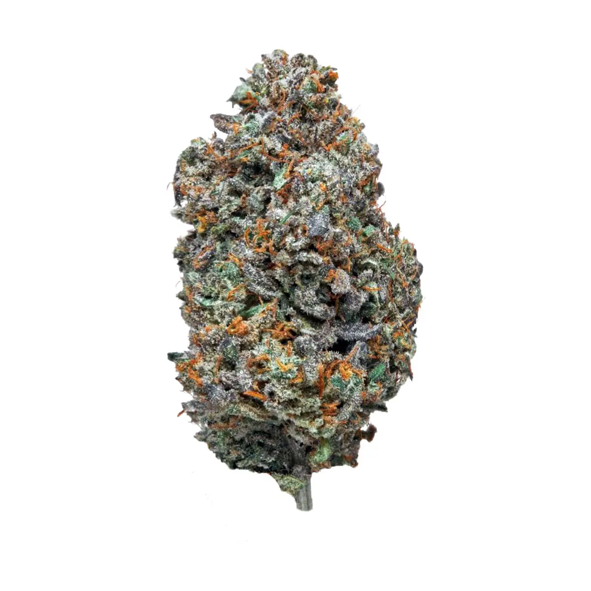 Loudstash High THCA Flower (S) Cloud Walker / 3.5G (Reg. Price $35)